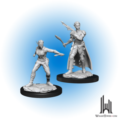 D&D Nolzur's Marvelous Miniatures: Shifter Rogue Female